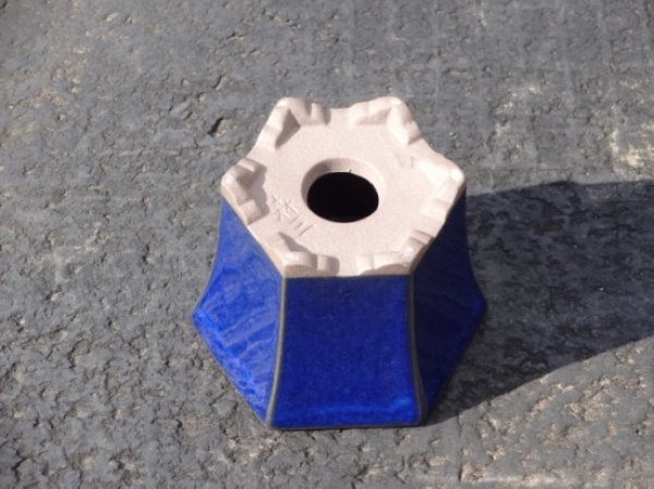 画像4: 2.5号 六角ケンガイ(生子) (4)