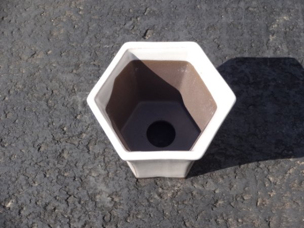 画像3: 2.5号 六角ケンガイ(白マット) (3)