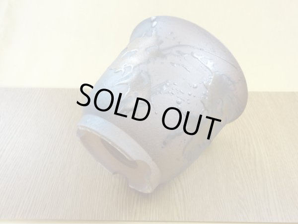 画像3: 金彩5号エビネ鉢 (3)