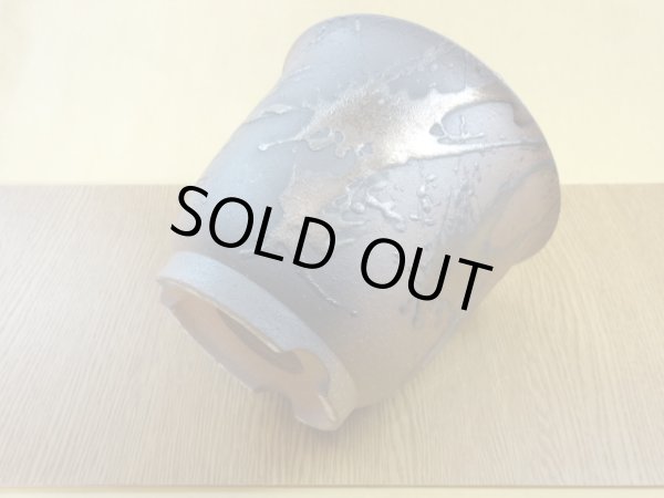 画像4: 金彩5号エビネ鉢 (4)