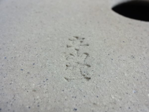 画像4: 13号 梨皮正角大深隅切 (4)