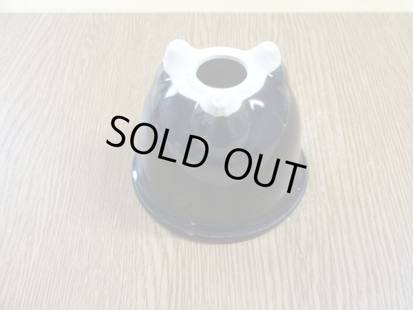 画像3: 岩松鉢 3号 (3)