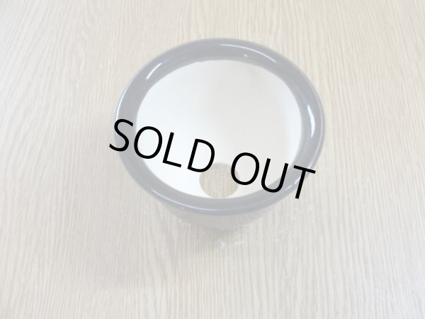 画像2: 岩松鉢 3号 (2)