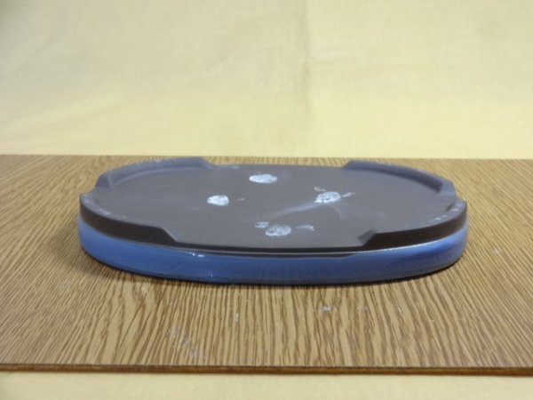 画像3: 5号 小判水石(キンヨー) (3)