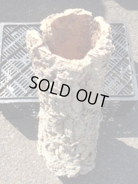 画像4: コルク筒型(22) (4)