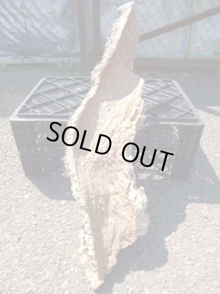 画像2: コルク半丸(21) (2)