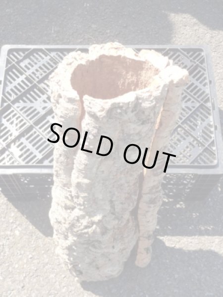 画像5: コルク筒型(22) (5)