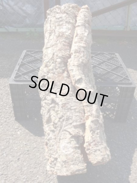 画像2: コルク筒型(22) (2)