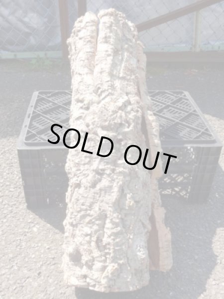 画像3: コルク筒型(22) (3)