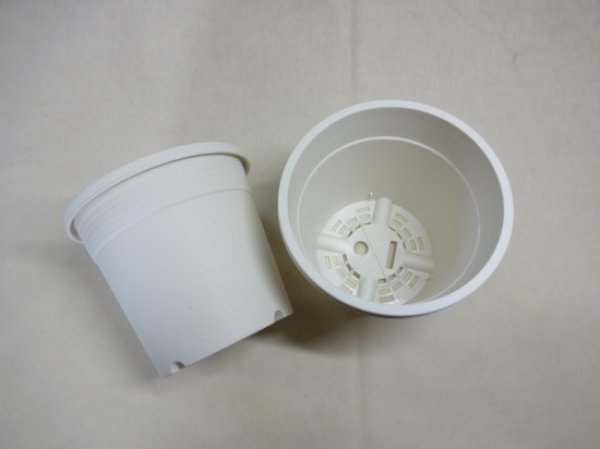 画像2: Aポット40(白) (2)