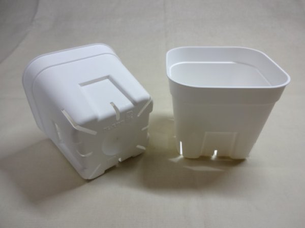 画像3: プレステラ 105型(白/800入) (3)