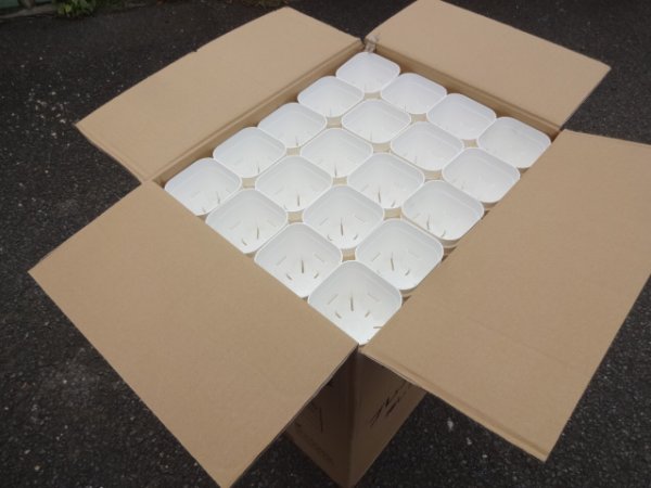 画像2: プレステラ 105型(白/800入) (2)