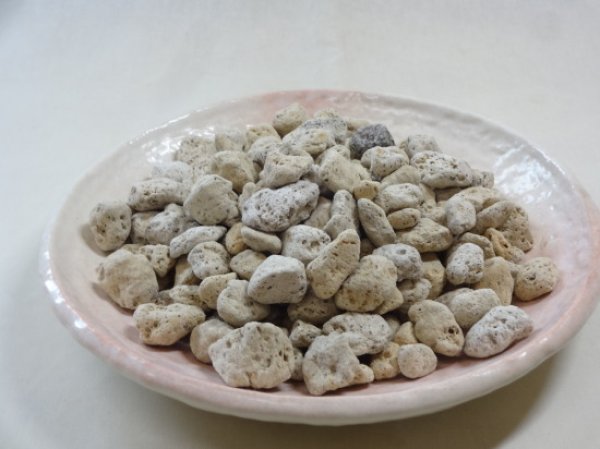 画像2: 軽石砂 大粒(2L) (2)