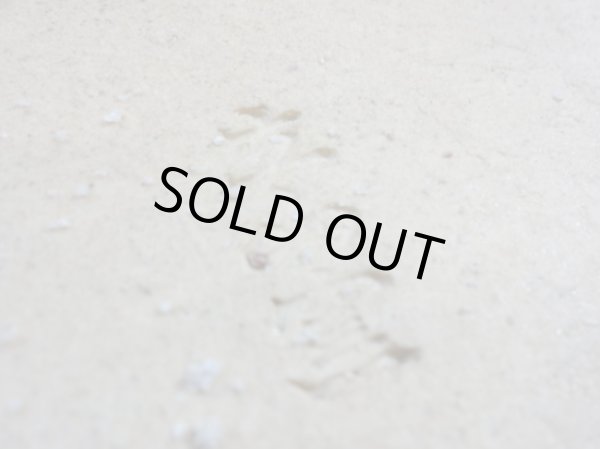 画像4: 13号 青銅タイコ型 (4)