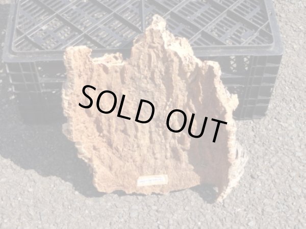 画像2: コルク半丸(30) (2)