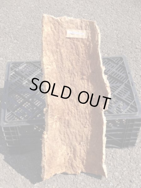 画像2: コルク半丸(32) (2)