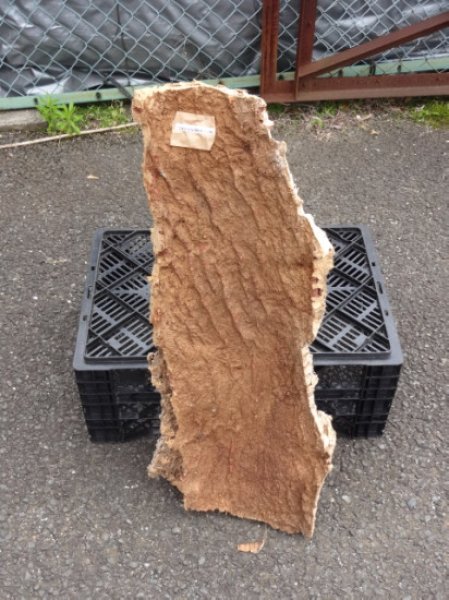 画像2: コルク半丸(25) (2)