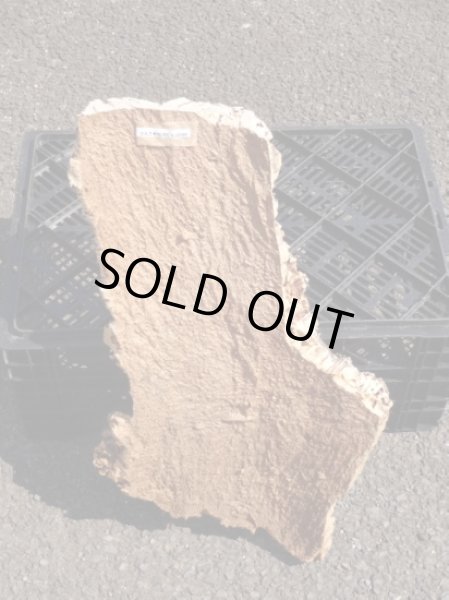 画像2: コルク半丸(31) (2)