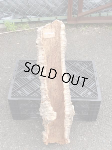 画像2: コルク半丸(26) (2)