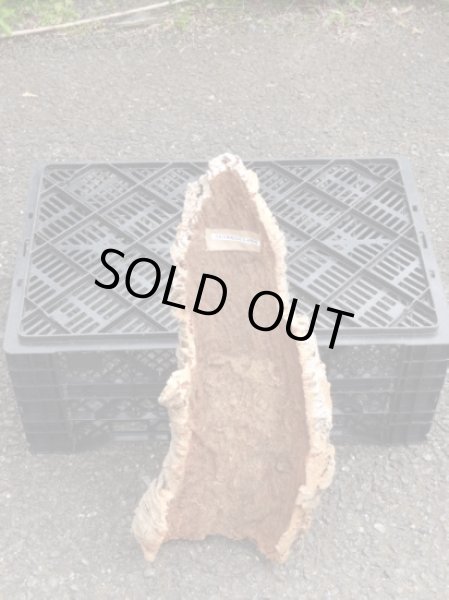 画像2: コルク半丸(28) (2)