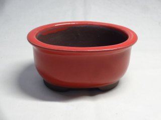 盆栽鉢（小品）の販売通販 (有)竹ノ花商事：原田園芸