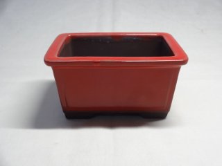 盆栽鉢（小品）の販売通販 (有)竹ノ花商事：原田園芸