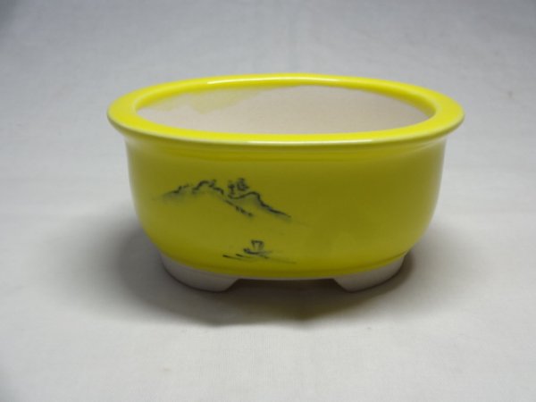 画像2: 3.5号/小判型/黄山水/文山 (2)