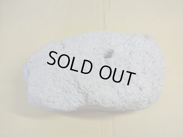 画像3: 軽石鉢 特大(18) (3)