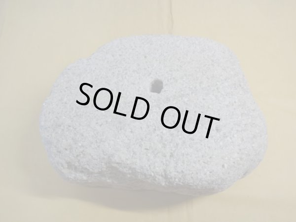 画像3: 軽石鉢 特大(22) (3)