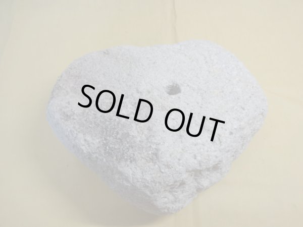 画像3: 軽石鉢 特大(24) (3)