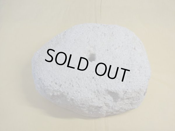 画像3: 軽石鉢 特大(17) (3)