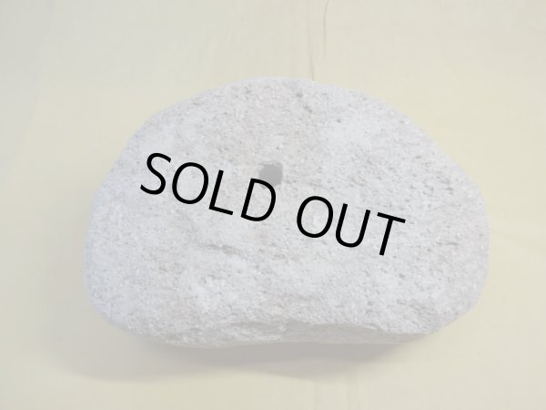 画像3: 軽石鉢 特大(21) (3)