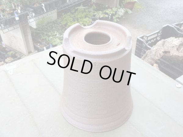 画像3: 伝市鉢 シャジン鉢7号 (3)