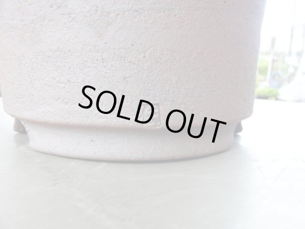 画像4: 伝市鉢 シャジン鉢7号 (4)