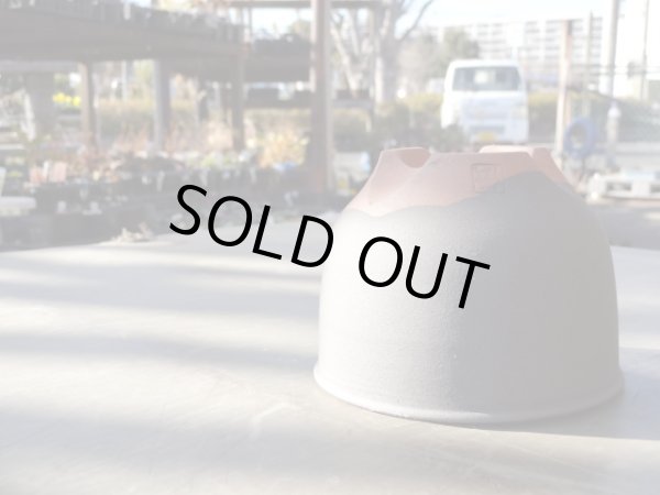 画像3: 伝市鉢 コウロ型黒化粧3号 (3)