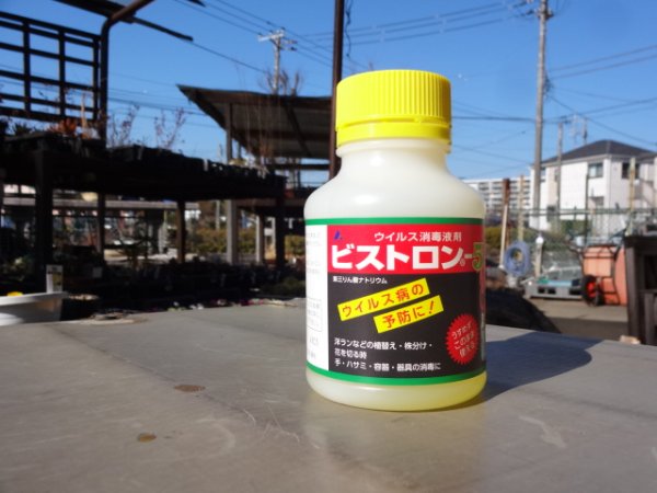 画像1: ウイルス消毒液剤 ビストロン-5 (220ml) (1)