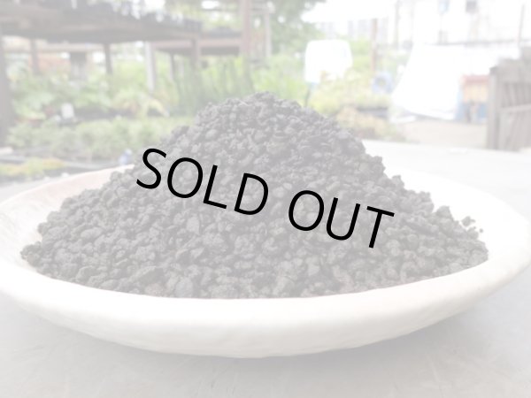 画像2: 富士砂 中目(2L) (2)