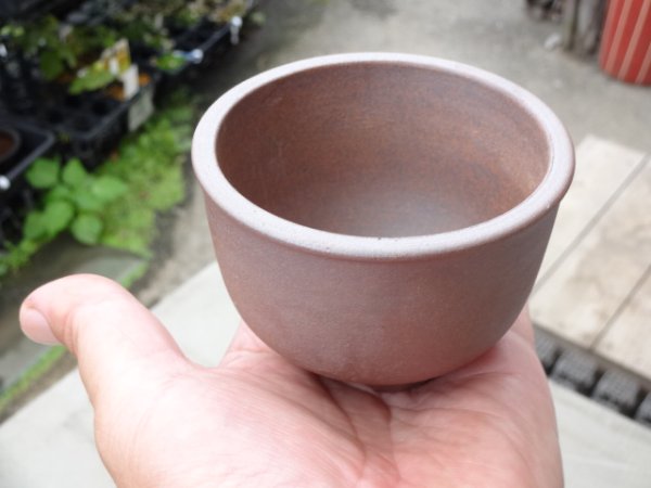 画像5: 伝市鉢 コウロ型2.5号 (5)
