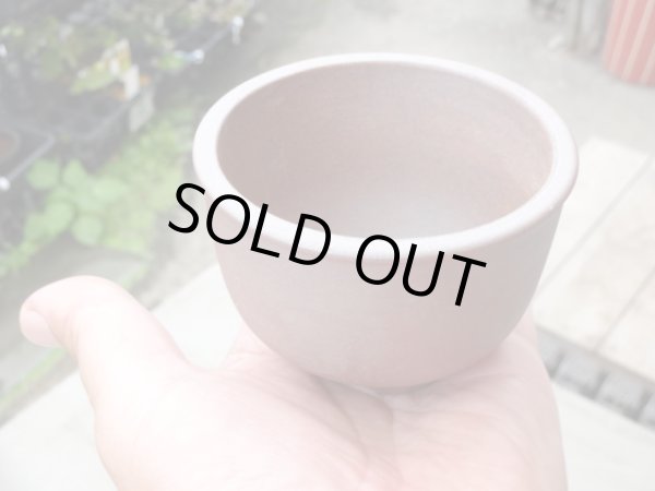 画像5: 伝市鉢 コウロ型2.5号 (5)