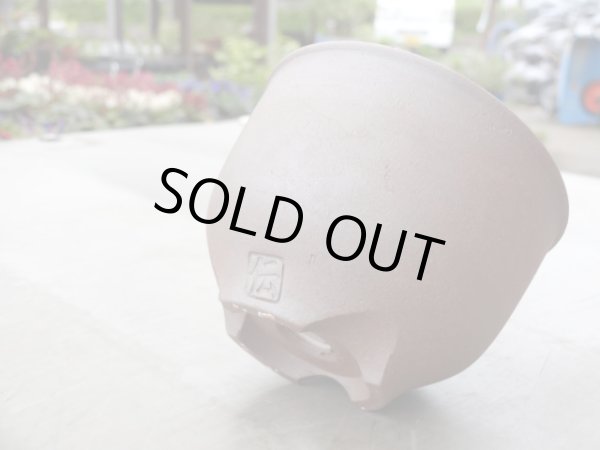 画像4: 伝市鉢 コウロ型2.5号 (4)