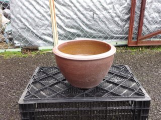 水盤/水蓮鉢/カメの販売通販 (有)竹ノ花商事：原田園芸