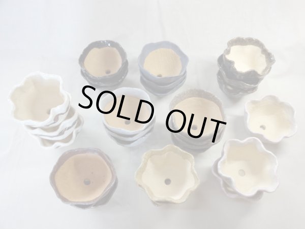 画像2: 信楽焼 特選山草鉢(大 30入) (2)