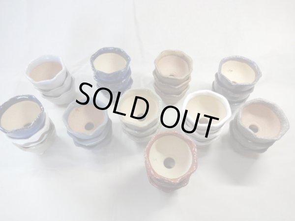 画像2: 信楽焼 特選山草鉢(小 30入) (2)