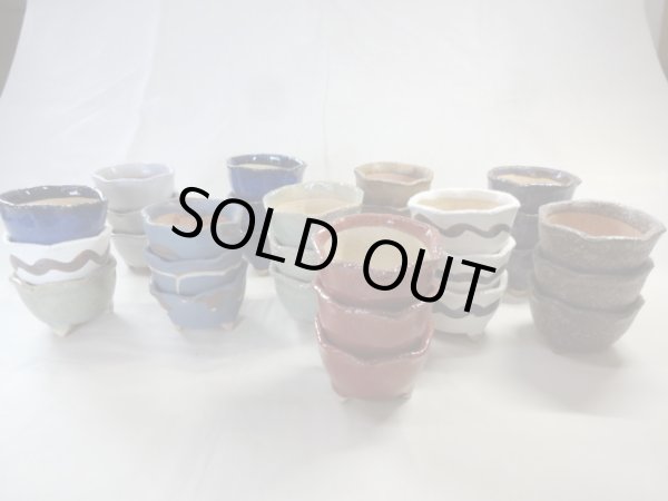 画像1: 信楽焼 特選山草鉢(小 30入) (1)