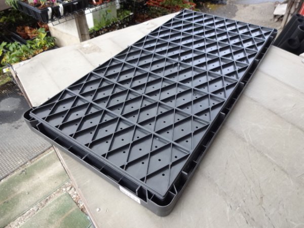 画像2: 稚苗用育苗箱 (2)