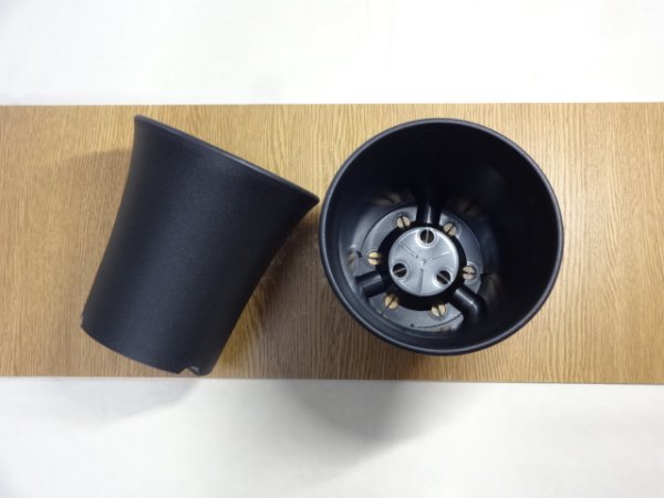 画像2: ミニラン鉢 4.5号 (2)