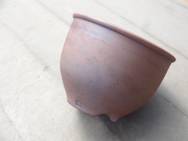 画像4: 伝市鉢 コウロ型5号 (4)